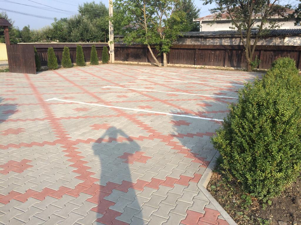Pensiunea Dany - Crys Zvoristea Exterior foto
