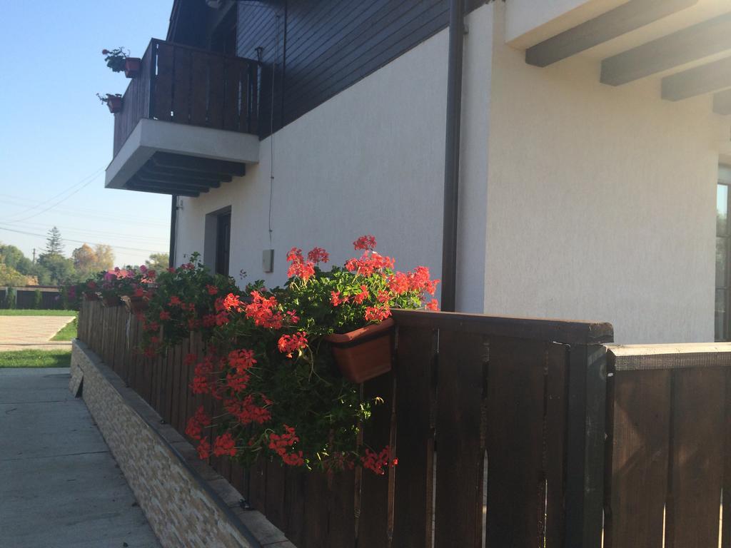 Pensiunea Dany - Crys Zvoristea Exterior foto