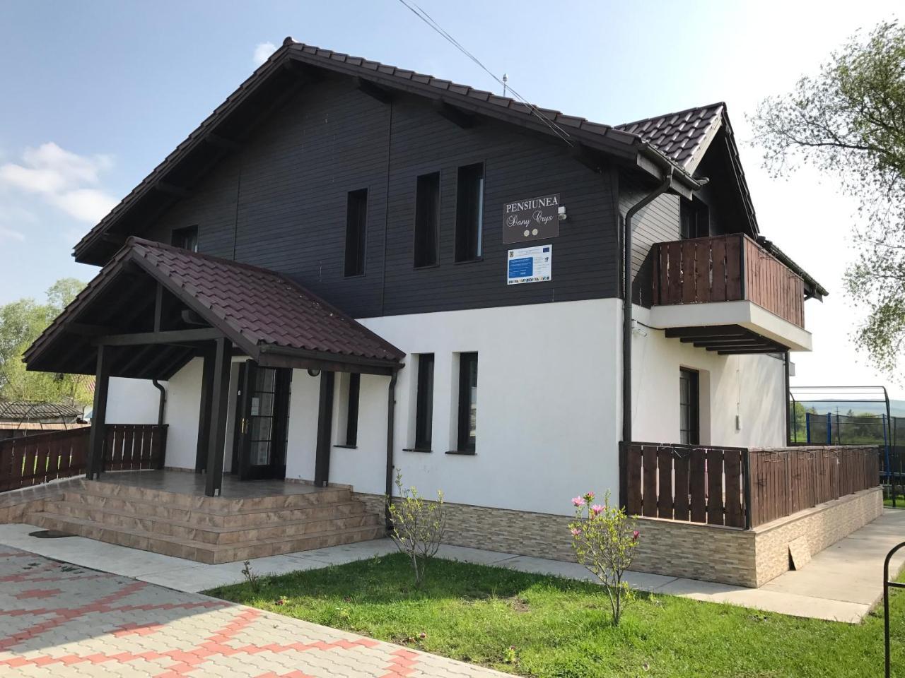 Pensiunea Dany - Crys Zvoristea Exterior foto